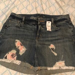 Lane Bryant Shorts